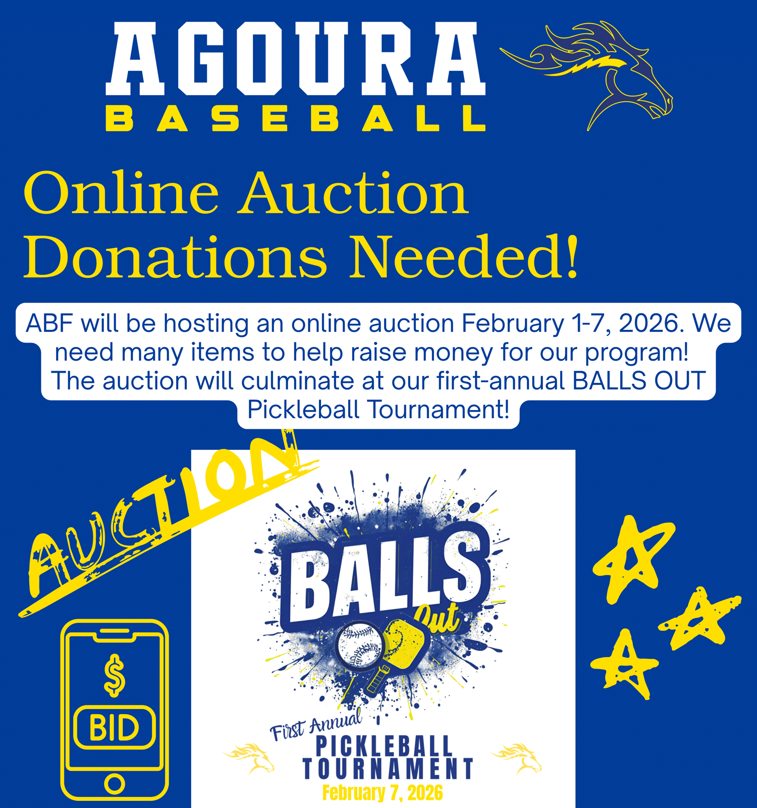 Balls Out Auction